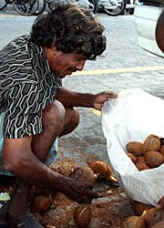 Maldives Research